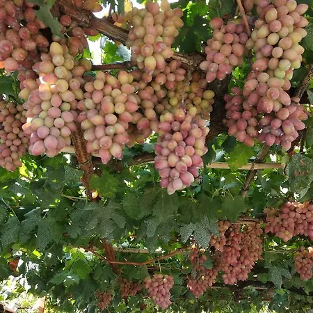 Gioia Lägenhet Cassino